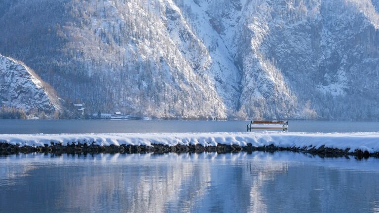 winter, lake, bank-8433225.jpg